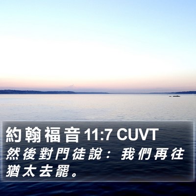 約 翰 福 音 11:7 CUVT Bible Verse Image