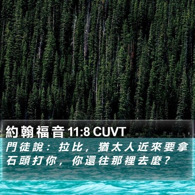 約 翰 福 音 11:8 CUVT Bible Verse Image