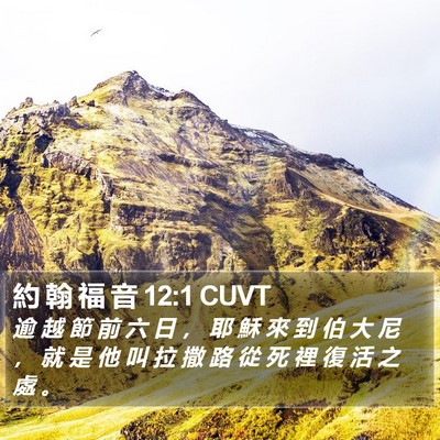 約 翰 福 音 12:1 CUVT Bible Verse Image