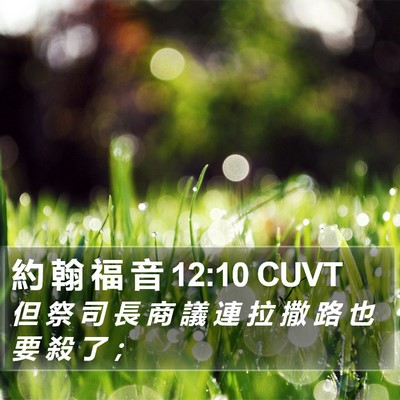 約 翰 福 音 12:10 CUVT Bible Verse Image