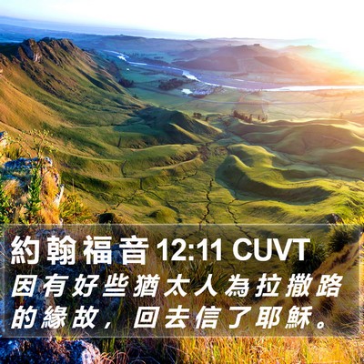 約 翰 福 音 12:11 CUVT Bible Verse Image
