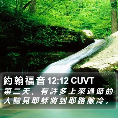 約 翰 福 音 12:12 CUVT Bible Verse Image