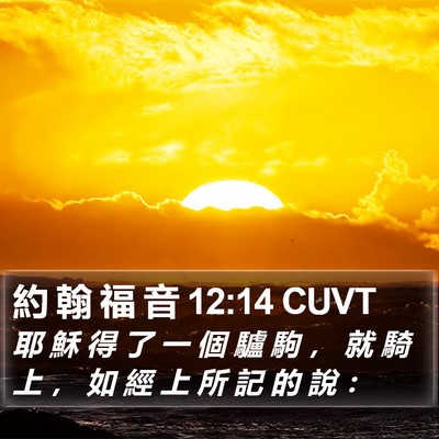 約 翰 福 音 12:14 CUVT Bible Verse Image
