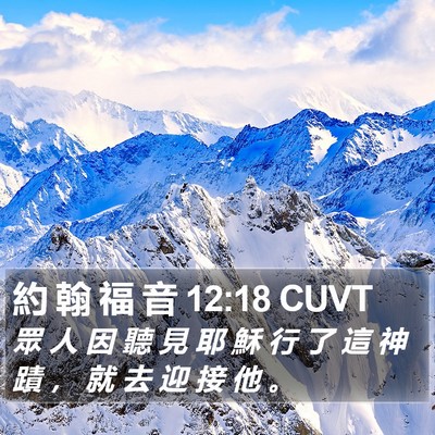 約 翰 福 音 12:18 CUVT Bible Verse Image