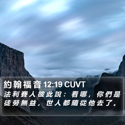 約 翰 福 音 12:19 CUVT Bible Verse Image