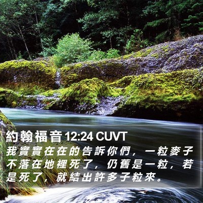 約 翰 福 音 12:24 CUVT Bible Verse Image