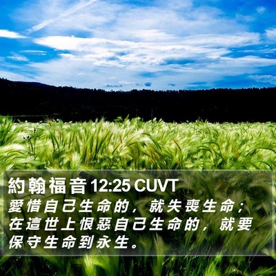 約 翰 福 音 12:25 CUVT Bible Verse Image