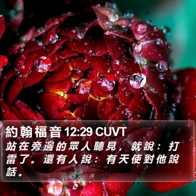 約 翰 福 音 12:29 CUVT Bible Verse Image