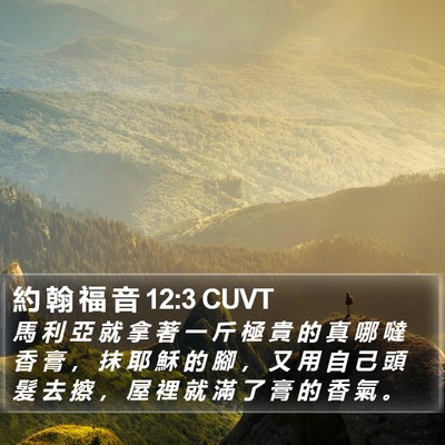 約 翰 福 音 12:3 CUVT Bible Verse Image
