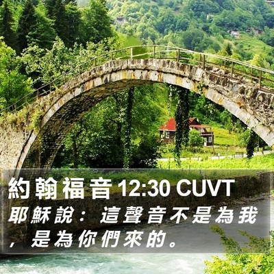 約 翰 福 音 12:30 CUVT Bible Verse Image