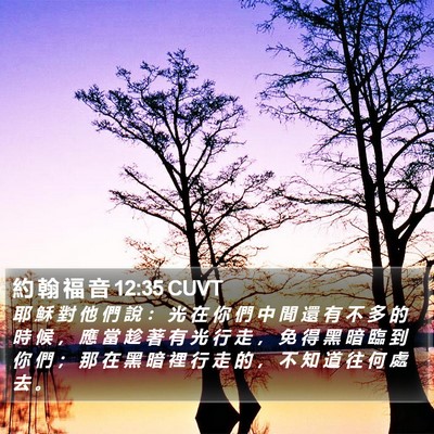 約 翰 福 音 12:35 CUVT Bible Verse Image
