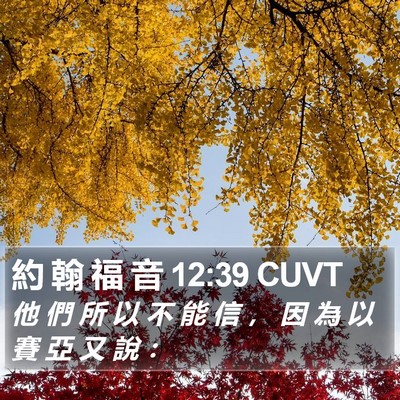 約 翰 福 音 12:39 CUVT Bible Verse Image