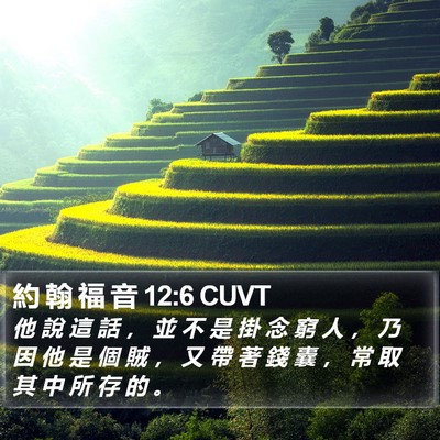 約 翰 福 音 12:6 CUVT Bible Verse Image