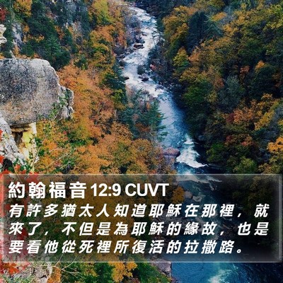 約 翰 福 音 12:9 CUVT Bible Verse Image