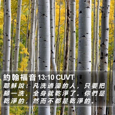 約 翰 福 音 13:10 CUVT Bible Verse Image