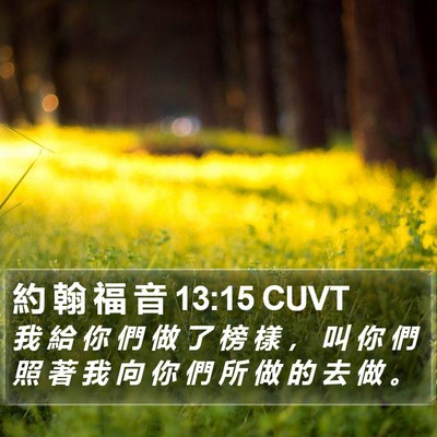約 翰 福 音 13:15 CUVT Bible Verse Image