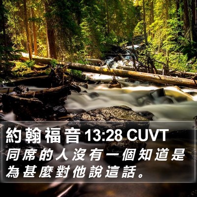 約 翰 福 音 13:28 CUVT Bible Verse Image
