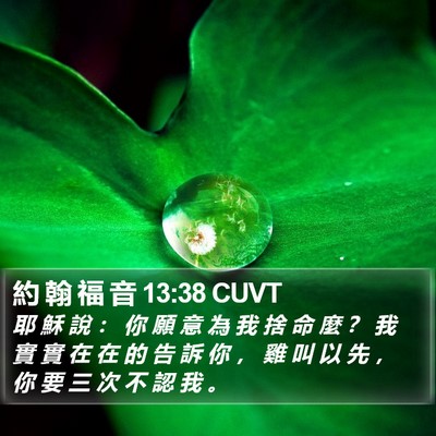 約 翰 福 音 13:38 CUVT Bible Verse Image