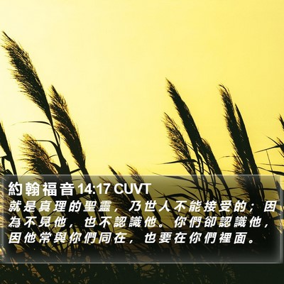 約 翰 福 音 14:17 CUVT Bible Verse Image