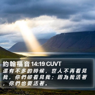 約 翰 福 音 14:19 CUVT Bible Verse Image