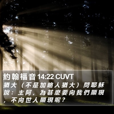 約 翰 福 音 14:22 CUVT Bible Verse Image