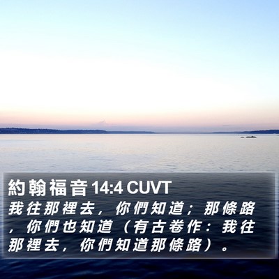 約 翰 福 音 14:4 CUVT Bible Verse Image