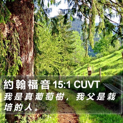約 翰 福 音 15:1 CUVT Bible Verse Image