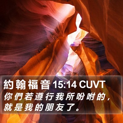 約 翰 福 音 15:14 CUVT Bible Verse Image