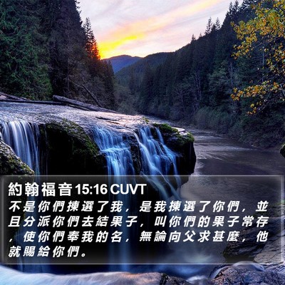 約 翰 福 音 15:16 CUVT Bible Verse Image