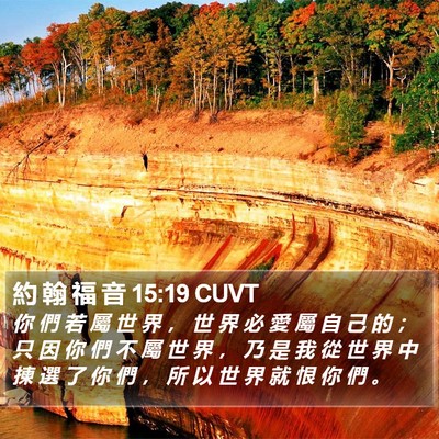 約 翰 福 音 15:19 CUVT Bible Verse Image