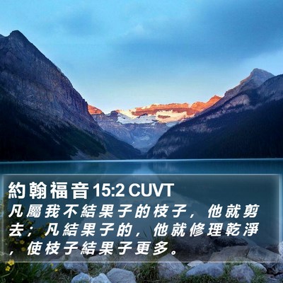 約 翰 福 音 15:2 CUVT Bible Verse Image