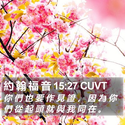 約 翰 福 音 15:27 CUVT Bible Verse Image