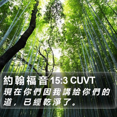 約 翰 福 音 15:3 CUVT Bible Verse Image