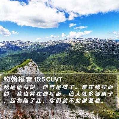 約 翰 福 音 15:5 CUVT Bible Verse Image
