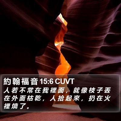 約 翰 福 音 15:6 CUVT Bible Verse Image