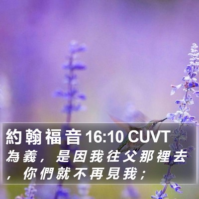 約 翰 福 音 16:10 CUVT Bible Verse Image