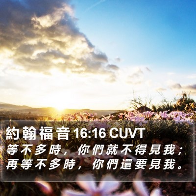 約 翰 福 音 16:16 CUVT Bible Verse Image