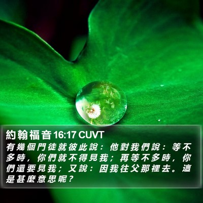 約 翰 福 音 16:17 CUVT Bible Verse Image