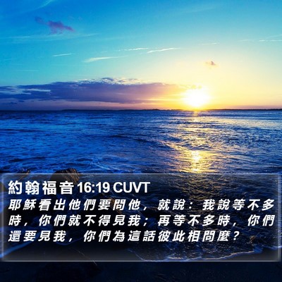 約 翰 福 音 16:19 CUVT Bible Verse Image