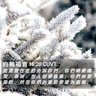 約 翰 福 音 16:20 CUVT Bible Verse Image