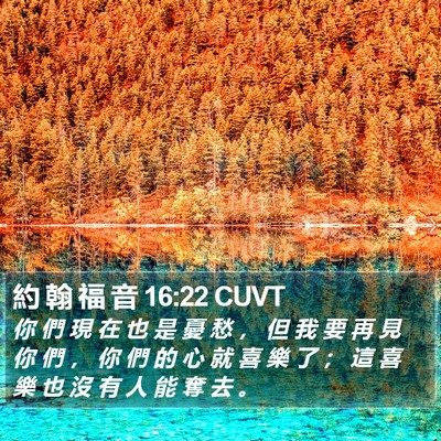 約 翰 福 音 16:22 CUVT Bible Verse Image