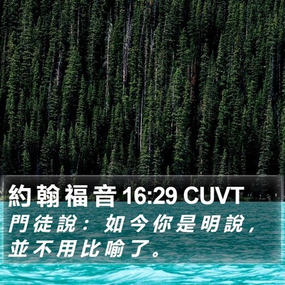 約 翰 福 音 16:29 CUVT Bible Verse Image
