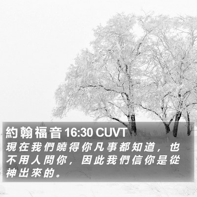 約 翰 福 音 16:30 CUVT Bible Verse Image