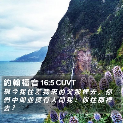 約 翰 福 音 16:5 CUVT Bible Verse Image