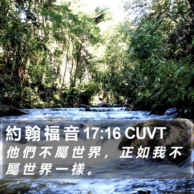 約 翰 福 音 17:16 CUVT Bible Verse Image
