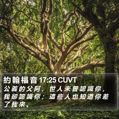 約 翰 福 音 17:25 CUVT Bible Verse Image