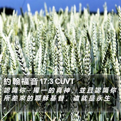約 翰 福 音 17:3 CUVT Bible Verse Image