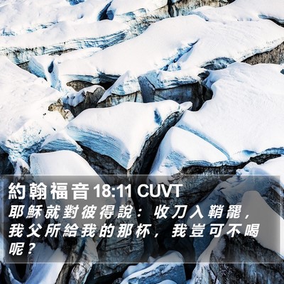 約 翰 福 音 18:11 CUVT Bible Verse Image