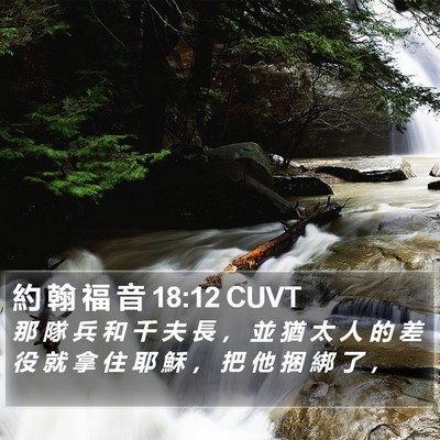 約 翰 福 音 18:12 CUVT Bible Verse Image