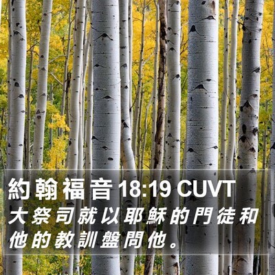 約 翰 福 音 18:19 CUVT Bible Verse Image
